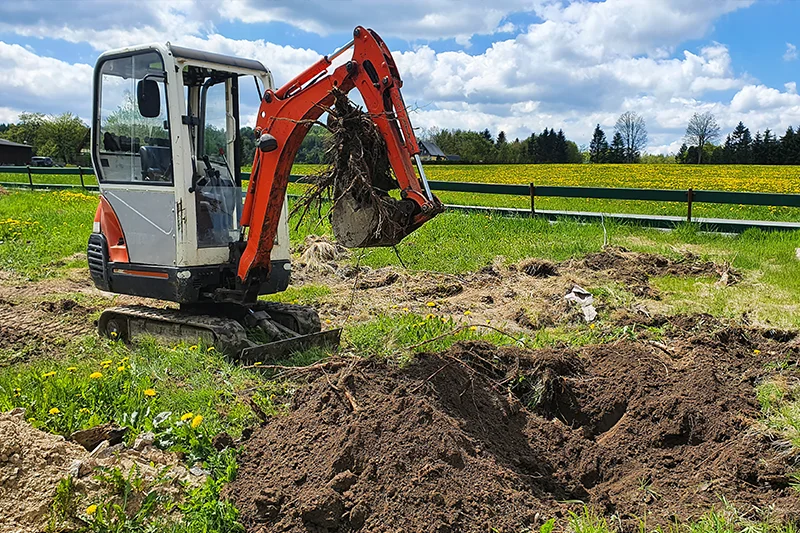 Trädgård Trädgård